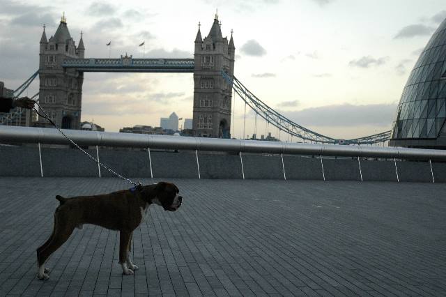 Tower Bridge