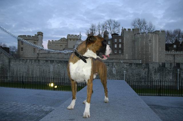 Tower of London