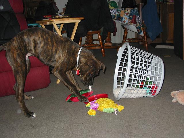 Toy Rescue