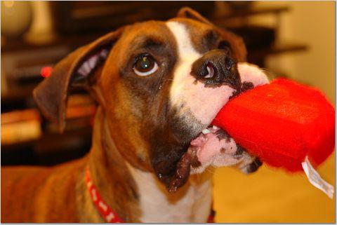 Toy time...