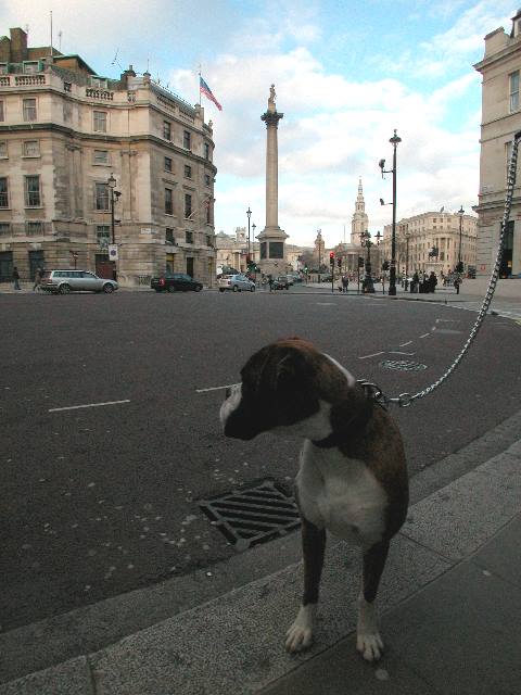 Trafalgar Square