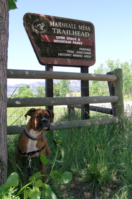 Trail Head