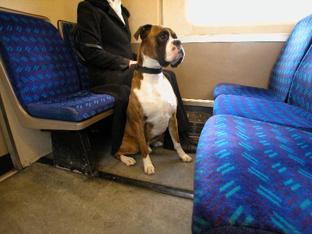 Train ride
