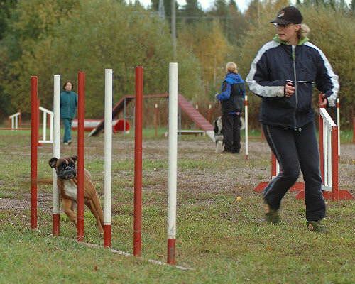 Training agility