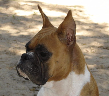 Tramp our American female