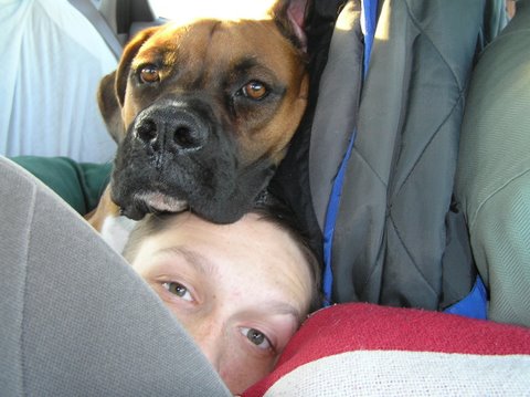 traveling