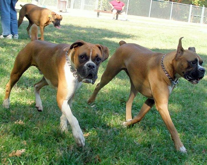 Tre (on the right) with his buddy Jude (left)