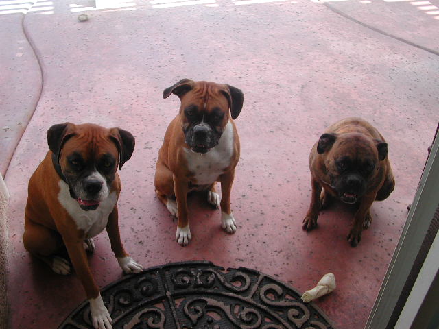 Treat? ok, I'll be good!
