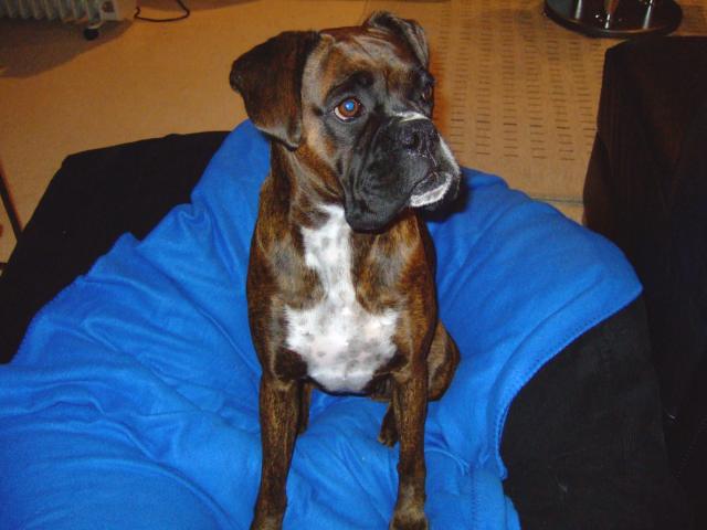 Treat please!