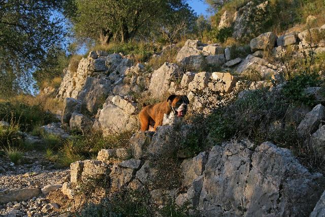 Trekking
