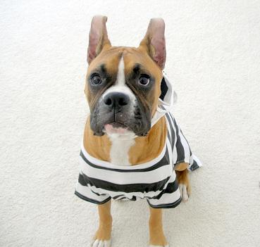 Tre's costume for Halloween 2005