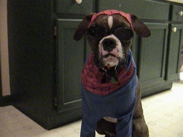 Trick or Treat?