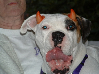 Trick or Treat?