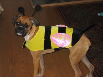 Trick-or-Treat