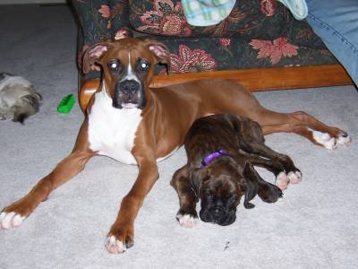 Trinity and cousin Rex