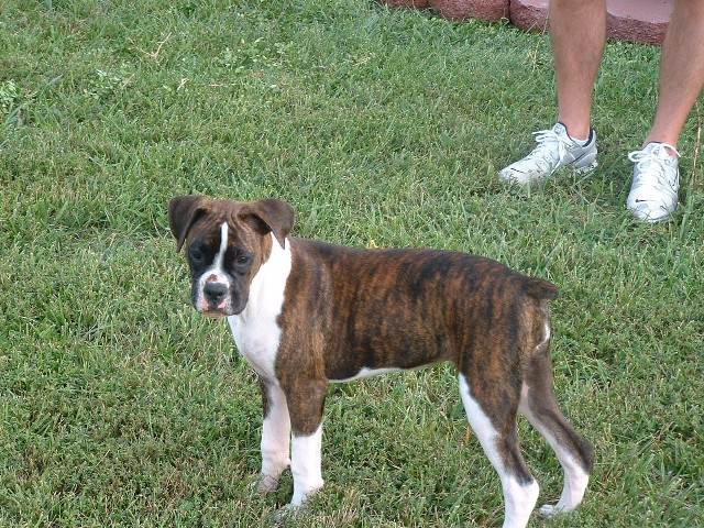 Trinity growing up