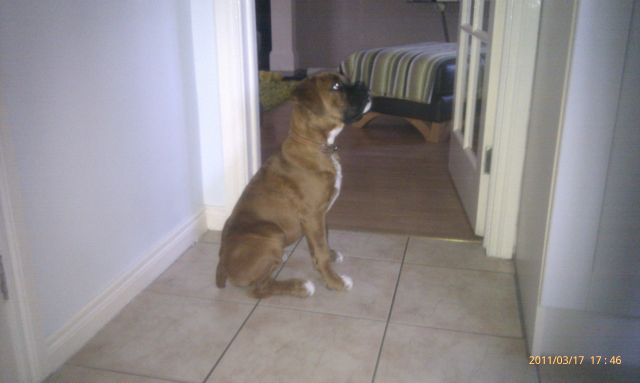 Troy