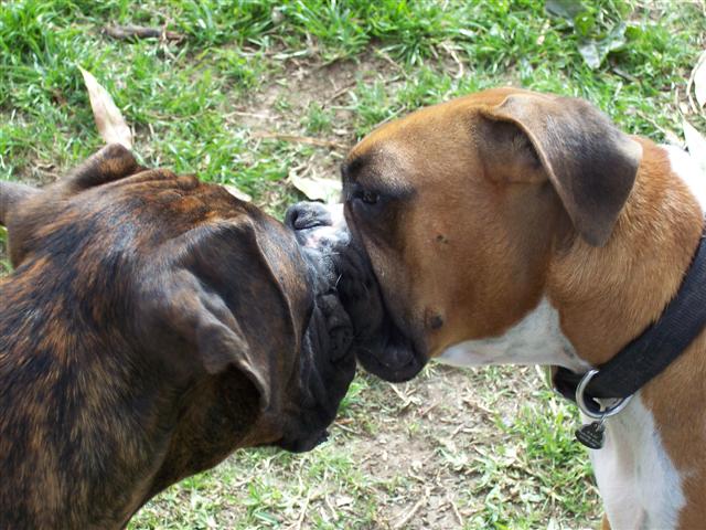 True Love