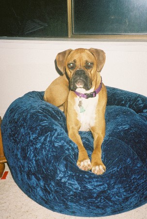Trust this face! I won't tear it up, I promise!