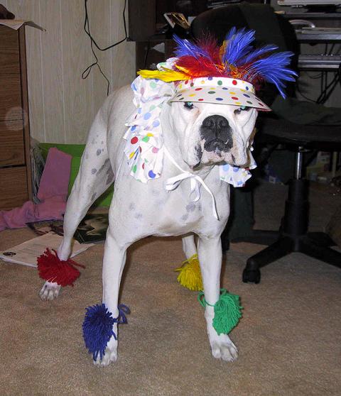 Trying Out Halloween Costumes