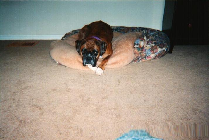Trying out my bed