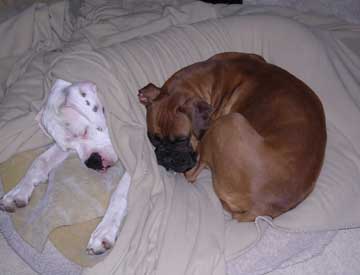 Trying to keep warm