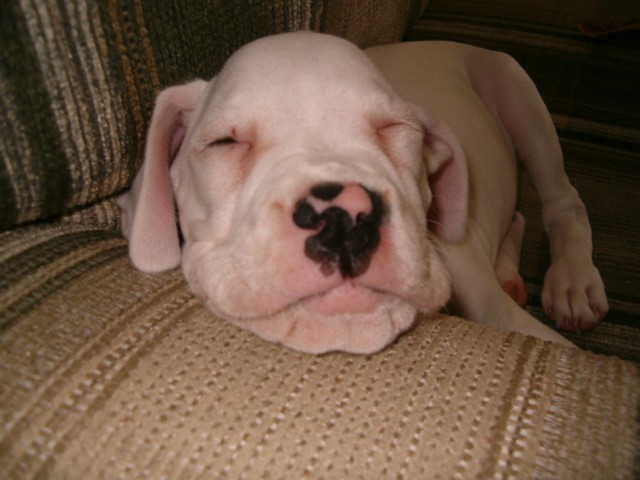 trying to nap