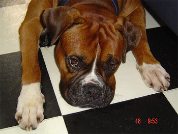 trying to sleep mom!