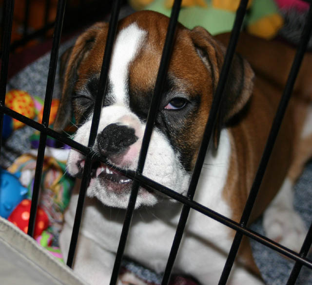 trying to stay awake