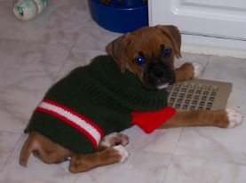 Trying to stay warm on the vent!