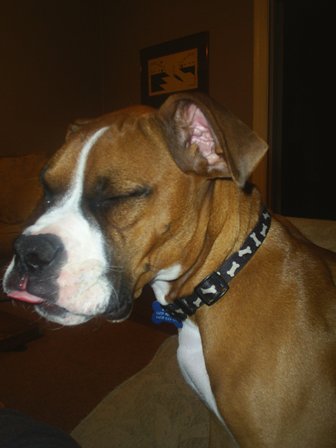Trying_to_stay_awake