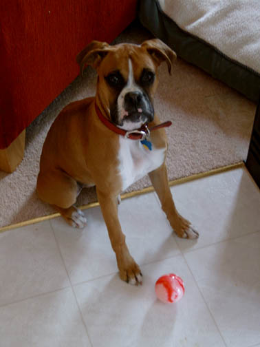 Tsura and her favorite toy