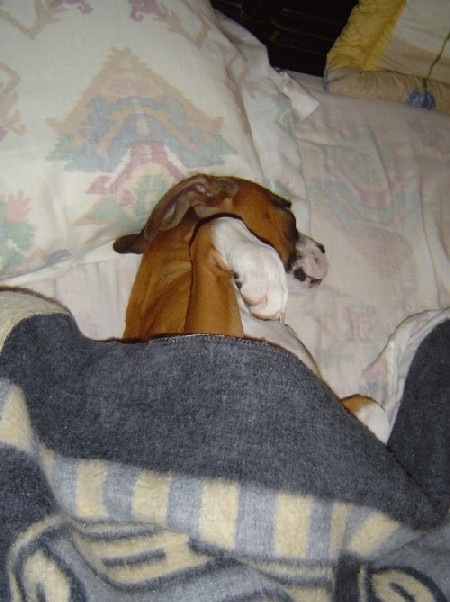 Tucked In!