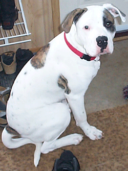 Tucker