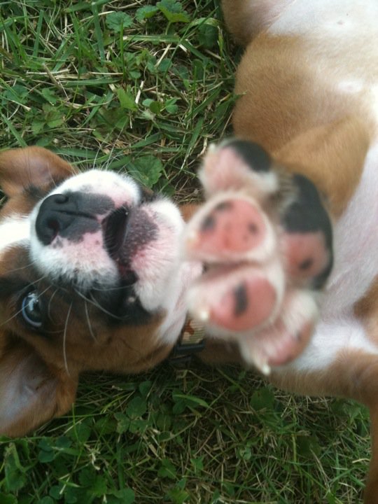 Tucker
