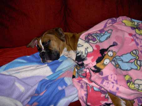 Tuckered Out