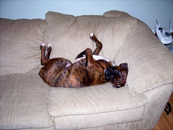 Tuckered Out