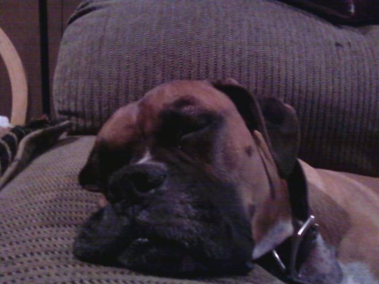 Tuckered Out