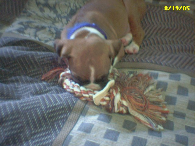 TuckeredOut