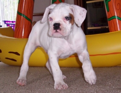 Tuff guy.