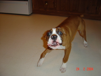 tuff's crazy face
