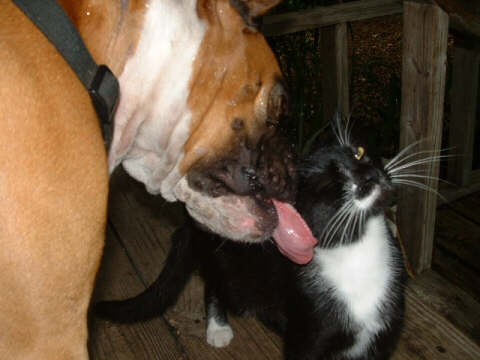 Tuffy and Friend