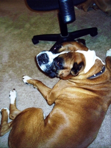 Tuffy