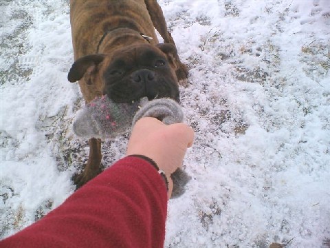 tug 'o' war