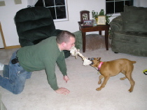 tug-o-war