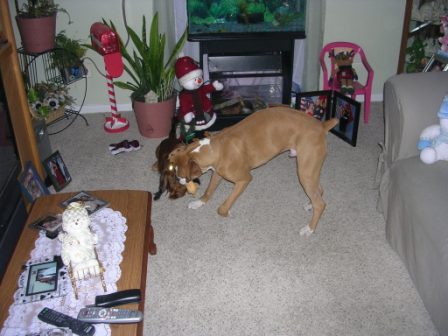 Tug o' what???
