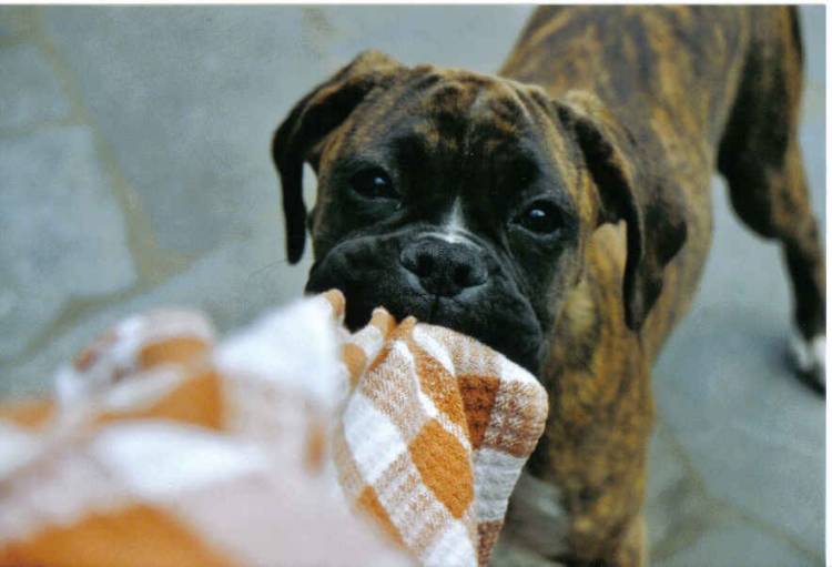 Tug of war
