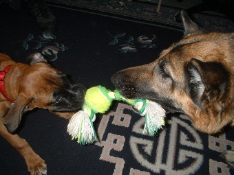 Tug of war