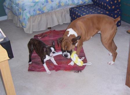 Tug of War