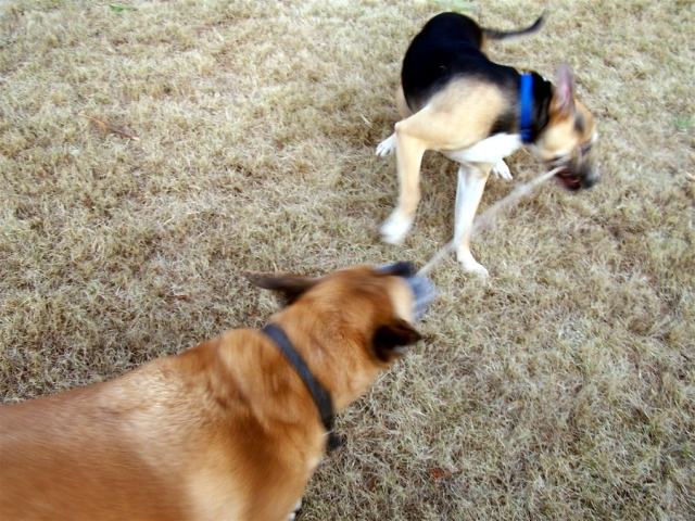 Tug of War